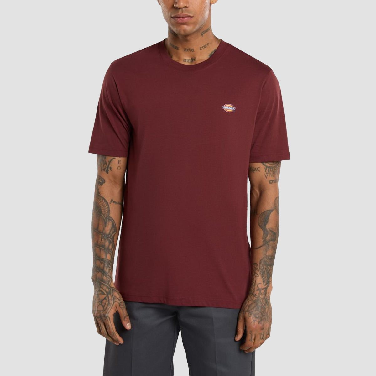 Dickies Mapleton T-Shirt Andorra