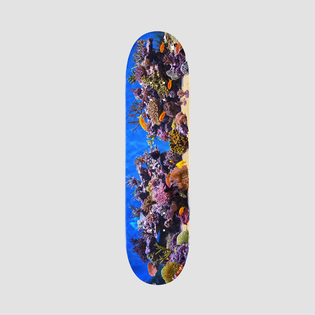 Mini Logo FFF Fish Tank 18 291 Skateboard Deck - 7.75"