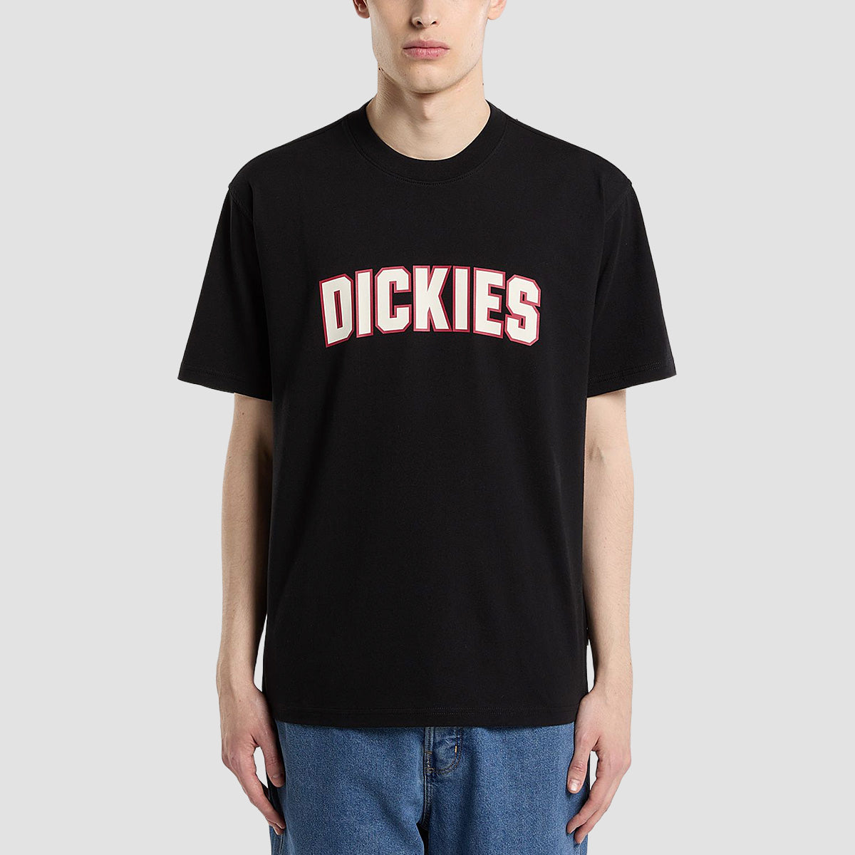 Dickies Aitkin T-Shirt Black