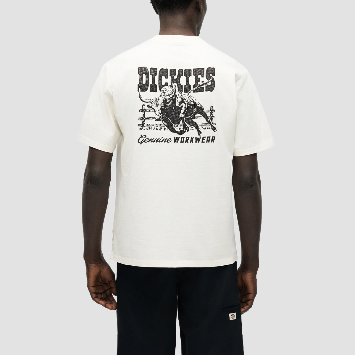 Dickies Buchtell T-Shirt Egret