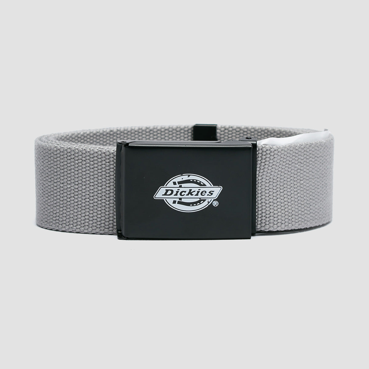 Dickies Orcutt Webbing Belt Ultimate Grey