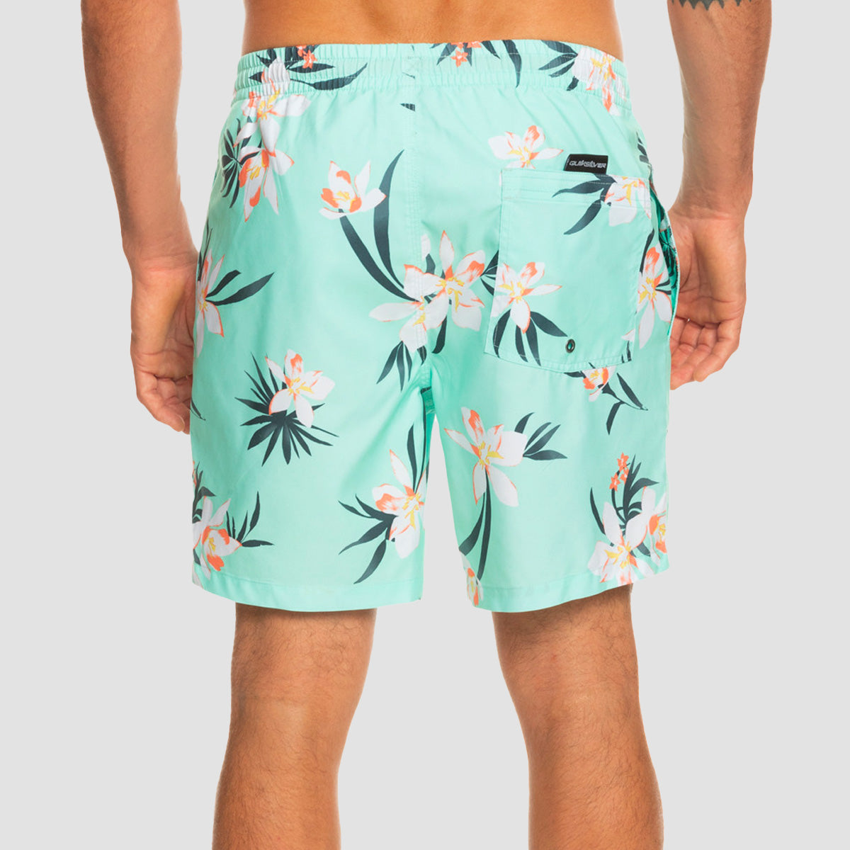 Quiksilver Everyday Mix 17" Swim Shorts Beach Glass