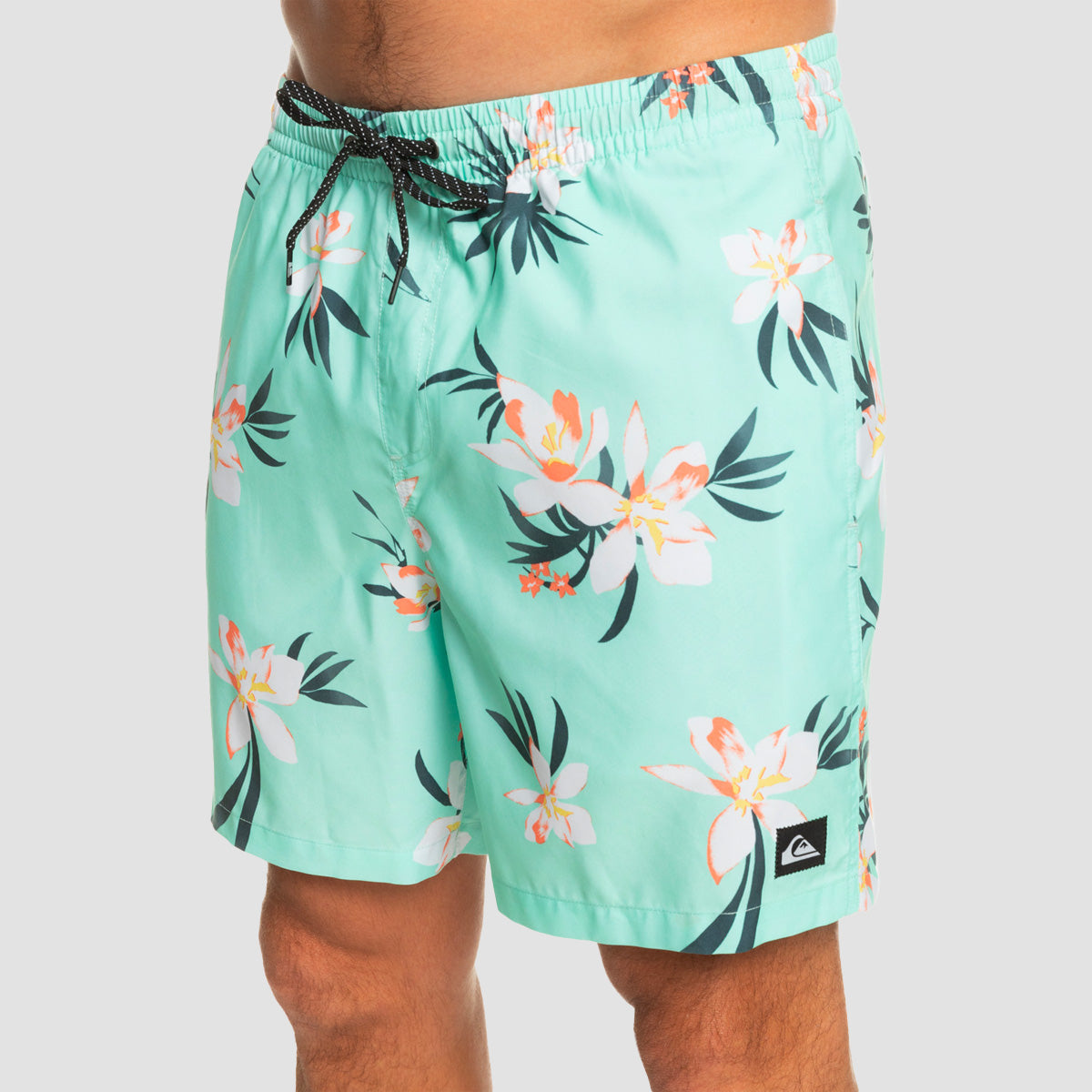 Quiksilver Everyday Mix 17" Swim Shorts Beach Glass